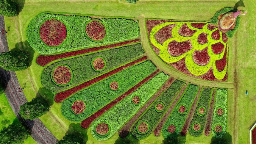 3D Modellemele ile Tarımsal Uygulamalar