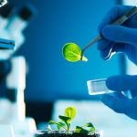 Biyo-teknoloji Uygulamalarının Ekonomiye Etkisi