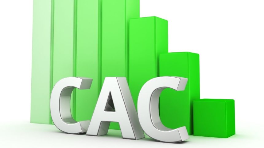 Dijital Pazarlamada CAC ve LTV Hesaplama: Batıyor musunuz, Çıkıyor musunuz?