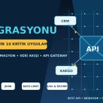 API Entegrasyonu
