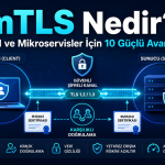 mTLS nedir