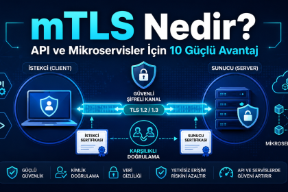 mTLS nedir
