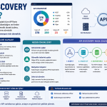 API Discovery nedir